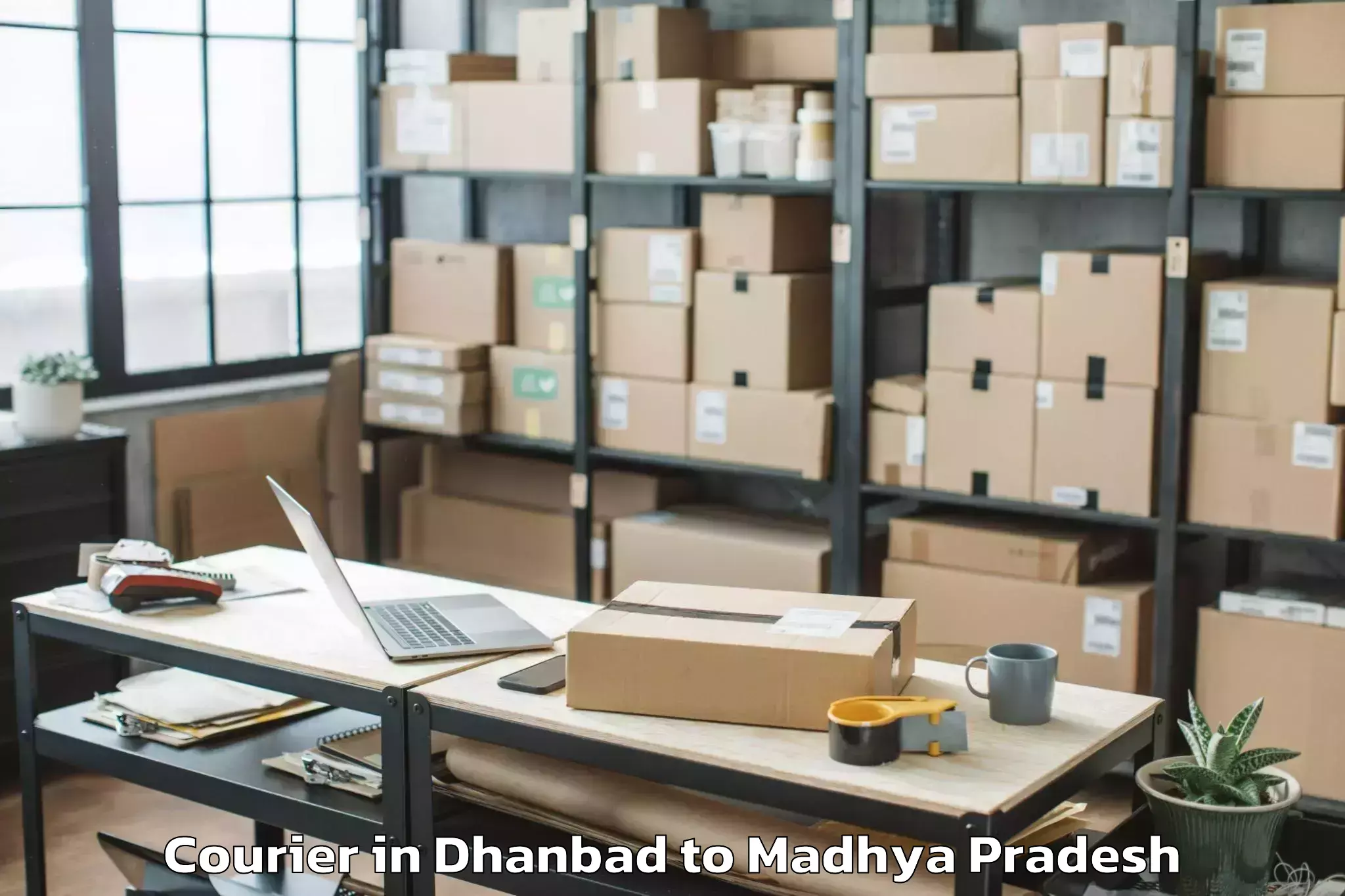 Easy Dhanbad to Amarwara Courier Booking